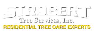 Strobert Tree Services