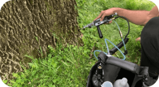 Plant Health Care Service in West Chester, Pennsylvania